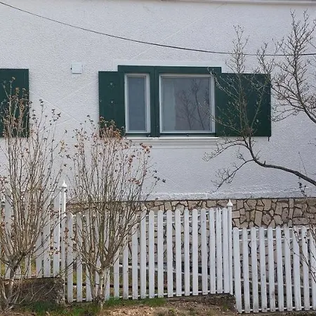 Objekt Tulipan